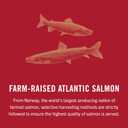 King Oscar Premium Salmon in Olive Oil, 4.05-Ounce Cans (Pack of 12, Packaging May Vary), Skinless & Boneless Salmon (EXP 02/10/31)