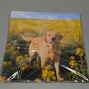 2026 Calendar, Wall Calendar 2026, Dogs 12 Month Wall Calendars (Jan - Dec 2026) 12" x 24" Opened, Hanging Monthly Calendar Thick Paper for Kids Family Adults Office Home