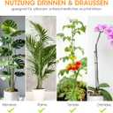 Aieve Extendable Plant Stakes, 13in to 49in Stainless Steel Telescoping Monstera Plant Support Stakes, Indoor Outdoor Garden Stake Support Sticks for Tomato Vegetables Monstera Vine (5 Packs)