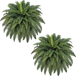 FOREST PRINCE 42" Artificial Boston Ferns, Bush Plants 2 Pack for Outdoors
UV-Resistant Large Fake Ferns, 65 Dense Fronds Each, Zero Maintenance, Washable Silk Leaves, Garden, Porch & Patio Decor
