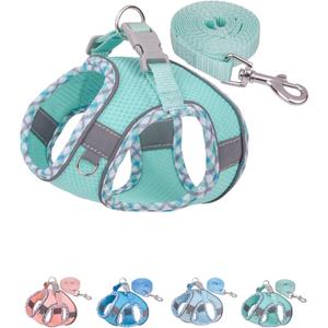 Petank Green Dog Harness (XS), No Pull, Puppy Harness and Leash Set, Jacquard Mesh, Easy Walk Dog Harness for Small Medium Dogs, Reflective Strip, Training, Running, Walking