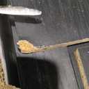 Sauder Tall Storage Cabinet, Black, 4 Adjustable Shelves, Multi-Room Use