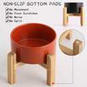 Petygooing 28 OZ Rust Red Elevated/Raised Ceramic Dog Bowl for Small and Medium Breeds, Dog Food Water Dish with Stand,Pet Feeding Bowl with Anti Slip Rubber for Cats Small and Medium Dogs (3.6 Cups)