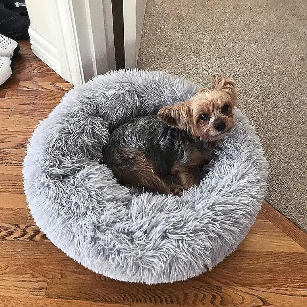 nononfish Cute Plush Dog Bed for Small Dogs, 19 inches Anti Anxiety Puppy Bed, Washable, Fits up to 15 lbs (Grey)