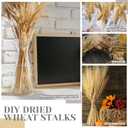 Geosar 600 Stems Dried Wheat Stalks for Decor Natural Wheat Grass Sheaves Bundle Farmhouse Artificial Flowers Arrangement for DIY Wedding Table Home Centerpieces Party Decorative (16 Inch)