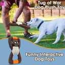 Plush Indestructible Durable Tough Dog Toys for Small Dogs, Interactive Dog Toys for Small Medium Large Dog Breeds (Raccoon)