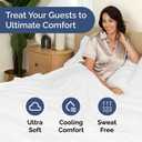 Bulk Case Pack of 20 Flat Sheets - (20) Full Size Hotel Quality Top Flat Bed Sheets Only - Wholesale Bulk Bedding for Hotels, Spas & Airbnbs - Breathable, Cooling, Soft & Wrinkle Free - (Full, White)