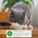 INABA Dashi Delights for Cats, Shredded Chicken with Bonito Flake Broth, 2.5 Ounce Cup, 12 Cups Total, Chicken Variety