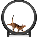 Cat Exercise Wheel for Indoor Cats, 45'' ABS Cat Wheel Exerciser Quiet Cats Treadmill with Pedometer, Small Animal Running Wheels for Weight Loss and Health Black