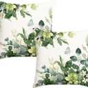 AVOIN colorlife Home Sweet Home Eucalyptus Leaves Spring Throw Pillow Cover Set of 2, 18 x 18 Inch Seasonal Floral Cushion Case Decoration for Home Sofa Couch