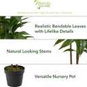 Nearly Natural 48in Artificial Dracaena Plant with Real Touch Leaves and Multi Tonal Trunks, Large Indoor Faux Tree for Living Room and Office Decor