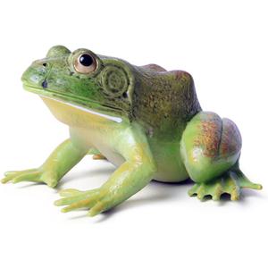 SCAHOW Plastic Frog Toys for Kids, Rainforest Animals Figures, Rubber Bullfrog Figurine, Forest Woodland Animals Toys, Frog Decor Party Favor Garden Flowerpot Decoration (Green)