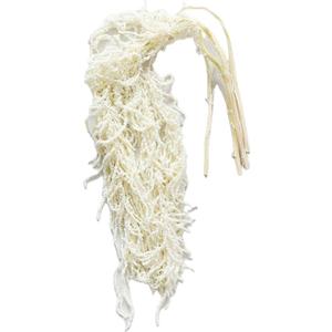 Bleached Hanging Amaranthus - 5 Stems - Natural Dried Flowers