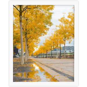 Golden State Art, Solid Wood 16x20 Wooden Picture Frame - for 16x20 Photos, 1-1/4-Inch Wide with Real Glass - Horizontal and Vertical Wall Display, Great for Engagement, Wedding, White, 1 Pack