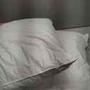 zibroges Feather Pillows Queen Size Set of 2  Goose Down Hotel Bed Pillow for Sleeping, Soft 600 Thread Count Cotton Cover, Fluffy Support Surround Fill Polyester for Side, Back, Stomach Sleepers