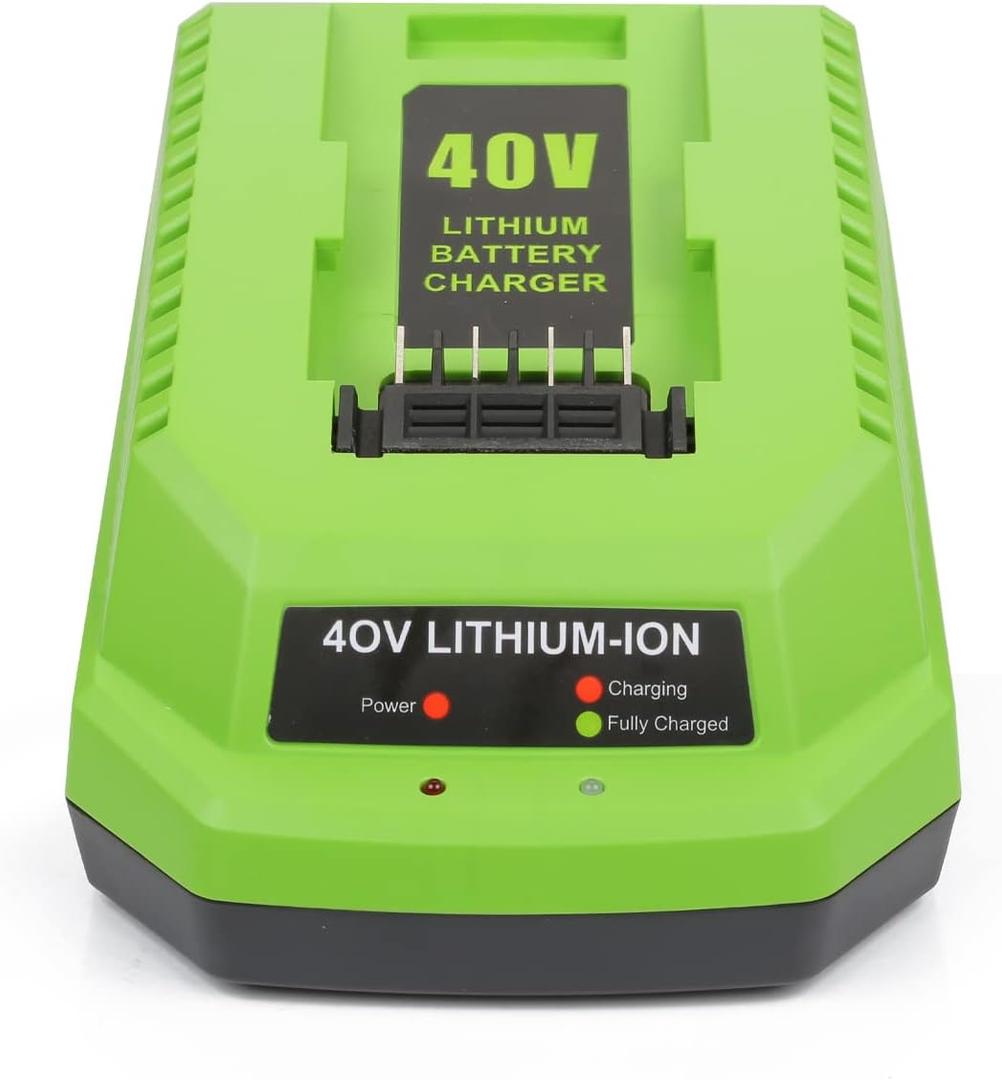 40V Charger Replacement for Greenworks 40V Battery Charger, Compatible with 40 Volt G-MAX Power Tools 29482 29252 20202 22262 29472 29462 (Not for 29662)