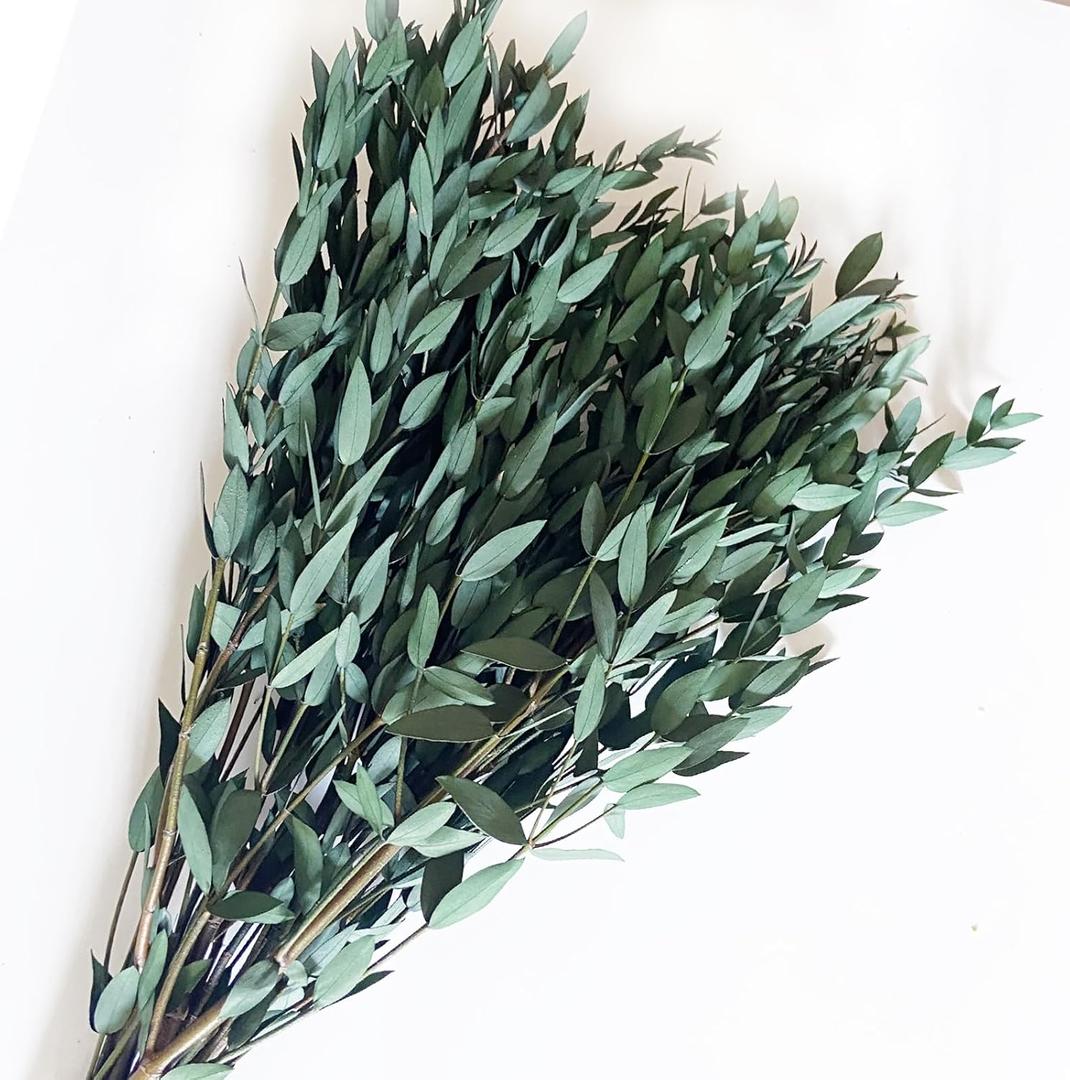 Preserved Dried Eucalyptus Greenery Stems, 20+ Pcs 16 inches Natural Long Lasting Eucalyptus Bundles for Vase Arrangements Home Decoration Photo Props Parties and Weddings, DIY Dcor-Green