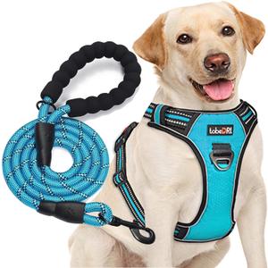 No Pull Dog Harness Adjustable Reflective Oxford Easy Control Medium Large Dog Harness with A Free Heavy Duty 5ft Dog Leash (L (Neck: 18"-25.5", Chest: 24.5"-33"), Blue Harness+Leash)  