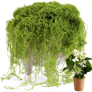 USMOLA Fake Moss for Potted Plants Indoor, 7OZ Green Moss for Crafts - Realistic Faux Grass Decor for DIY, Terrariums, Fairy Gardens & Table Centerpieces Home Decor (Light Green)