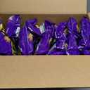 Takis Fuego Rolled Spicy Tortilla Chips, Hot Chili Pepper Lime Flavored, Multipack Box 14 Bags, 9.9 Ounces Each, BBD: MAR 09.2026