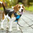PoyPet No Pull Dog Harness, No Choke Front Lead Dog Reflective Harness, Adjustable Soft Padded Pet Vest with Easy Control Handle (Blue,S)