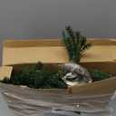 Janinka 5ft LED Lighted Wall Christmas Tree for Xmas Indoor Decor Small Kitchen Living Room Space Warm Hanging Pine Greenery Tree for Christmas Home Window Wall for Pet Cat Proof (Hook Not Include)