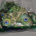 Colorful Peacock Round Fitted Tablecloth Bright Birds Beautiful Feathers Animal Elastic Edge Tablecloth Waterproof Oilcloth Table Cover for 40"-44"