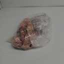 Jessica Howard Women's Fit and Flare Midi Dress with Tie Neck in Chiffon Lurex 22W Blush