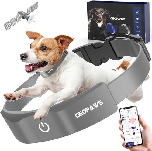 GPS Electric Dog Fence with Free App, Wireless Fence System with Training Collar, Adjustable of Dogs Portable Fence for Outdoor Use, Rechargeable Waterproof Flexiable Collar, (Grey)