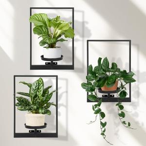 Wall Planters for Indoor Plants, Window Plant Shelves Set of 3, Wall Plant Stand to Hold Large Pots - Premium Metal Hanging Plant Holder for Indoor Outdoor Decor