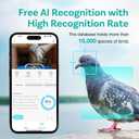 Birdock 1296P HD AI Identify Smart Bird Feeder with Camera,1296P HD AI Identify Wild Watching Camera, Auto Capture Videos & Motion Detection,Gift for Bird Lover (2.4G HZ WiFi)(Blue)
