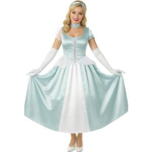fun shack Blue Princess Costume for Women, Women Princess Dress, Halloween Princess Costumes for Women (Medium)