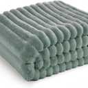 Bedsure GentleSoft Green Throw Blanket for Couch - Cozy Soft Blankets for Women, Cute Small Fleece Throws for Girls, Sage Green Room Decor Decorations for Home, 50x60 Inches