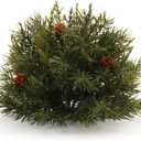 Pine Half Orb (Set of 2) 6.5" D Plastic