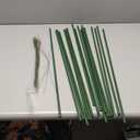 Connex Garden Stake | Plant Support Stick | Support Cane | Flower Support | Plant Care | Gardening | FLOR78805