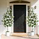 2 Pack 5 FT Artificial Camellia Tree, Artificial Plants Outdoor Faux Plants in Pot, Artificial Flower for Outdoors Front Porch Decor, Fake Tree Plant Faux Flowers for Indoor Outdoor Home Decor, White