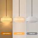 19.7" Modern Drum Chandelier, 4-Light Black Light Fixture