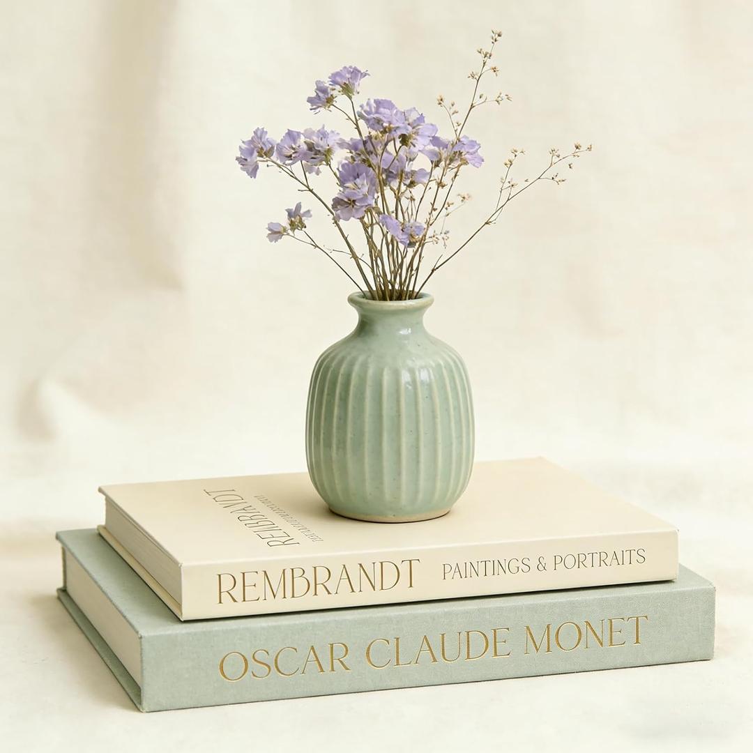 Decorative Books for Home Decor- Coffee Table Aesthetic Decorative Books, Set of 2 Linen Faux Books for Living Room Bookshelf Decoration (Mintgreen&Beige)