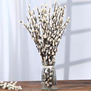Natural Preserved Dried PussyWillow Branches for Vases, 30 Stems Real Willows, 17" Snow Pussywillows, Dried Flowers for Indoor and Outdoor Decor, Wedding Home DIY Floral Art Plants Fireplace