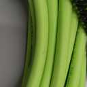 Flexzilla Pressure Washer Hose with M22 Fittings, 1/4 in. x 50 ft., ZillaGreen  HFZPW3450ME