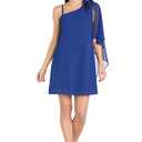R&M Richards Women's Roselle Chiffon Dress, Royal, Size 16