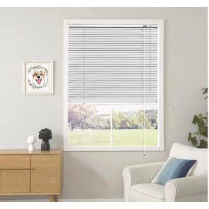 Mini Blinds Suitable for 36" W x 64" H Windows 1" Aluminum Horizontal Venetian Blinds Darkening with Rope and Pole can Mounted Inside or Outside