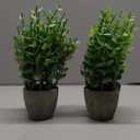 FAVOWREATH 2 Pack Fake Plants Ceramic Mini Artificial Greenery Potted Plants for Home Decor Office Decor Room Decor Farmhouse Decor Indoor Table Bathroom Decor