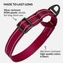 CollarDirect Reflective Martingale Dog Collar Nylon Heavy Duty Training Pet Collars for Small Medium Large Dogs Puppy Black Blue Mint Green Red Pink Purple Dark Red (L, Neck Size 16"-24", Dark Red)