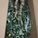 6FT Realistic Artificial Olive Tree with Fruits & Leaves-Premium Faux Tree for Modern Home, Living Room, Office Decor, Luxury Indoor Plants for Leather Sofa & Wood Furniture