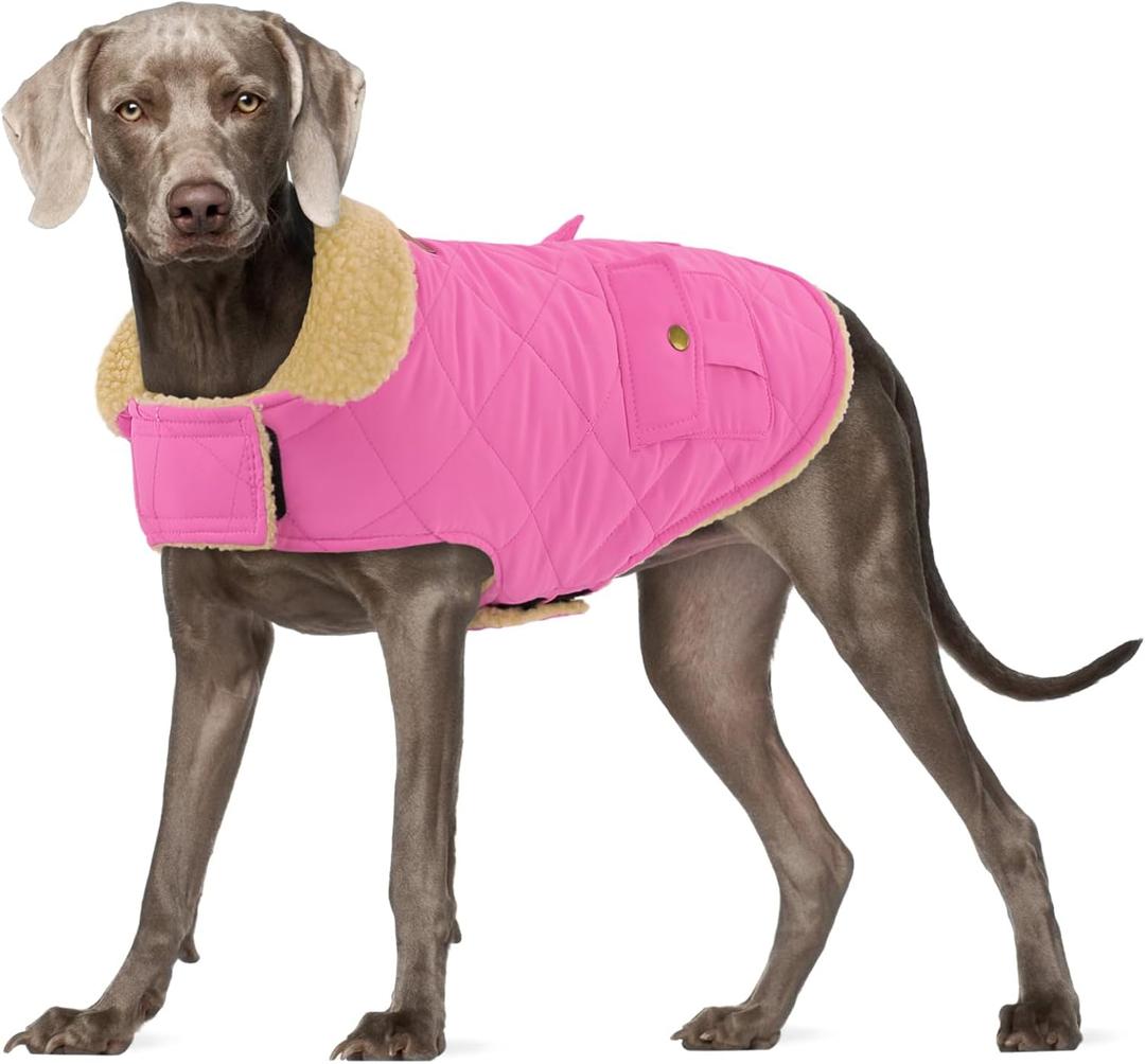 Large Dog Coat - Warm & Windproof Winter Jacket for Large Dogs - Pink, Golden Retriever to Husky Sizes
