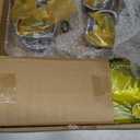 DanVard 2.0L Piston & Rings Connecting Rod kit Replacement for Hyundai Tucson Elantra GT for Kia Soul Forte Forte5 2.0 23510-2E001 23041-2E210 23040-2E200 23510-2E410 23510-2E400