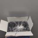 Dealusy 50 Pack (100-Piece) 24 oz Meal Prep Containers Reusable with Lids, Sturdy Leakproof & Food Safe, Microwave, Freezer, Dishwasher Safe Prep Containers, To Go Take Out Plastic Food Storage