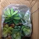 Artificial Succulents 3 Pack - UV Resistant Faux Plants with Pots for Indoor Outdoor Decor - Lifelike Small Fake Potted Plants for Home Office Desk Bathroom Bedroom Shelf Aesthetic