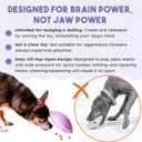 Awoo Flying Saucer Toy - 3-in-1 Silicone Dog Treat Puzzle, Lick Mat and Slow Feeder - for Wet and Dry Food - Dishwasher Safe Pet Toy - Enrichment Game for Dogs from 30 to 90 lbs - Large (Lavender)